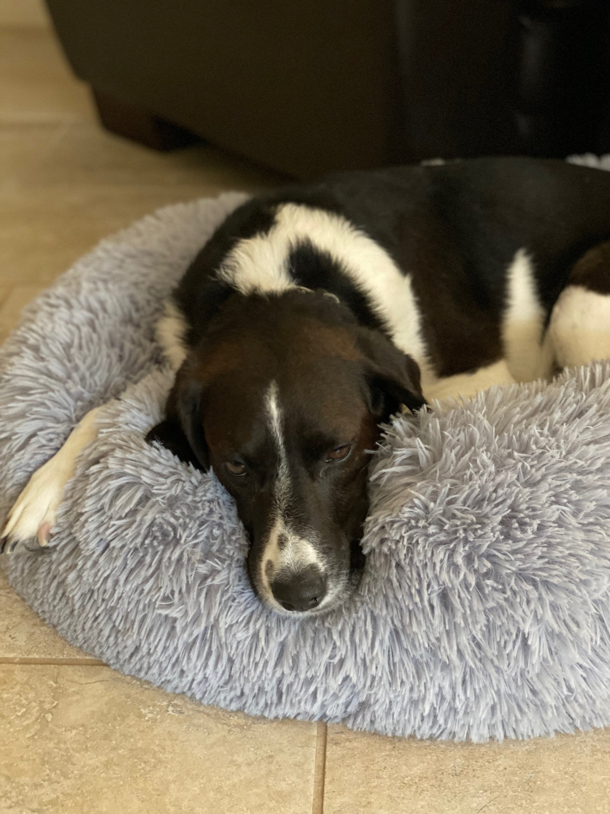Mr. Peanut's 23" OrthoPlush® Pet Bed - Gray Two Tone from Mr. Peanut's Pet Carriers