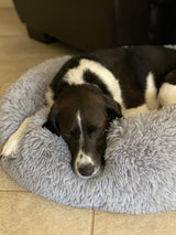 Mr. Peanut's 23" OrthoPlush® Pet Bed - Gray Two Tone from Mr. Peanut's Pet Carriers