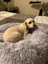 Mr. Peanut's 28" OrthoPlush® Pet Bed - Snowflake White Two Tone from Mr. Peanut's Pet Carriers