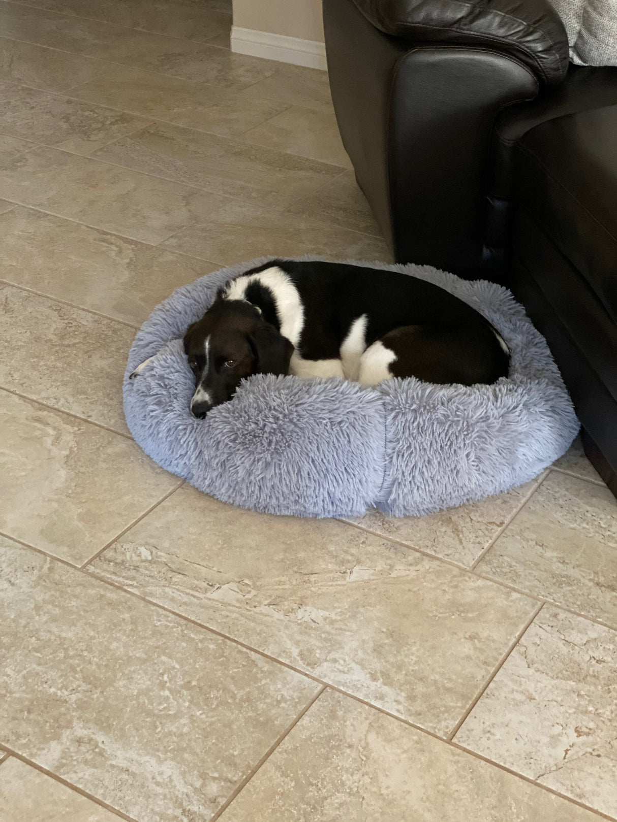 Mr. Peanut's 28" OrthoPlush® Pet Bed - Snowflake White Two Tone from Mr. Peanut's Pet Carriers