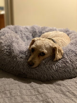Mr. Peanut's 23" OrthoPlush® Pet Bed - Gray Two Tone from Mr. Peanut's Pet Carriers