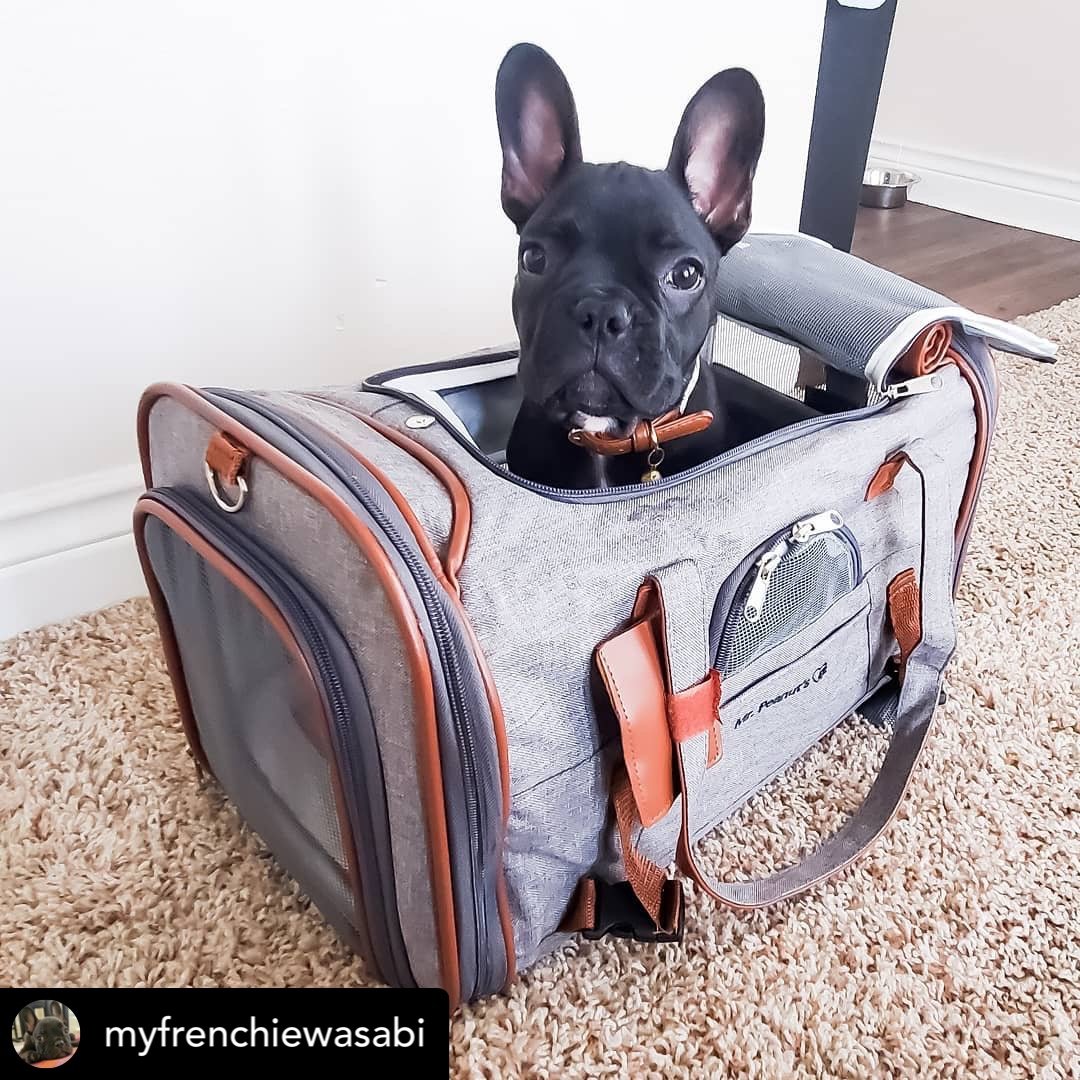 Mr. Peanut's Gold Series Standard Size Airline Compliant Pet Carrier from Mr. Peanut's Pet Carriers