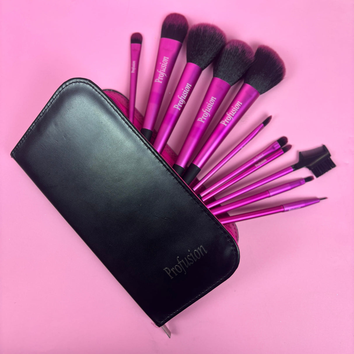Makeup Brush Set- 11pc set from Prolux Cosmetics