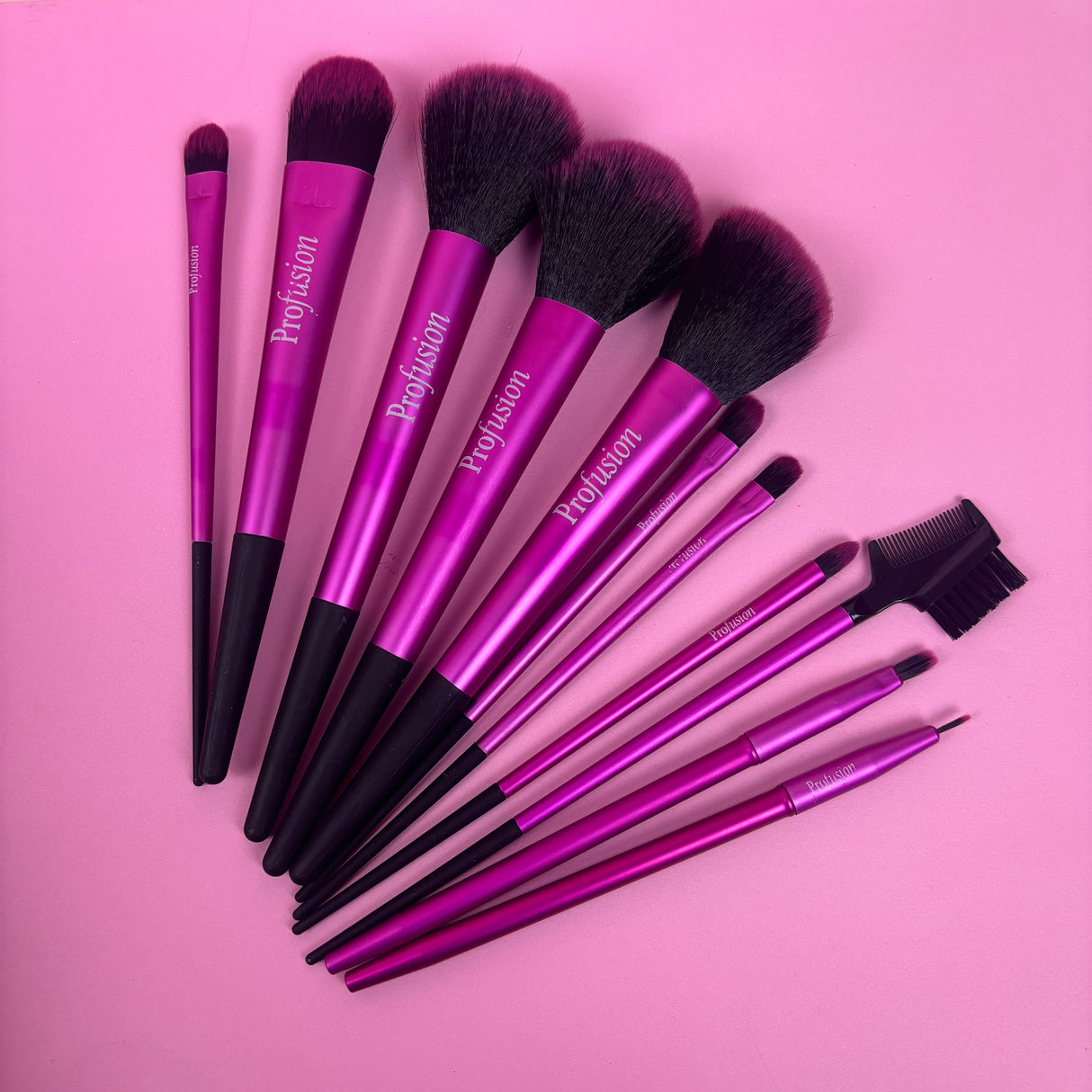 Makeup Brush Set- 11pc set from Prolux Cosmetics
