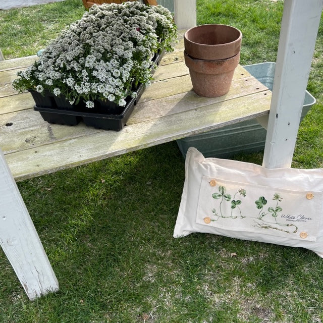 Botanical Panel: Shamrock St. Patrick's Farm Spring, Summer; WHITE CLOVER From PillowPanels