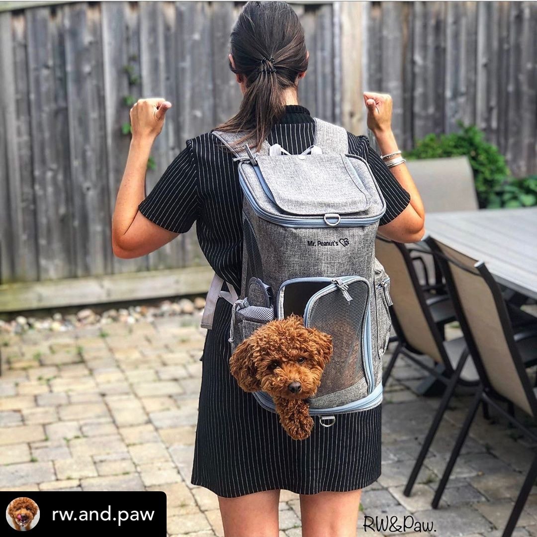 Mr. Peanut's Vancouver Series Backpack Pet Carrier for Smaller Cats and Dogs from Mr. Peanut's Pet Carriers