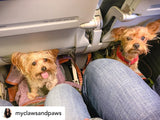 Mr. Peanut's Gold Series Standard Size Airline Compliant Expandable Pet Carrier from Mr. Peanut's Pet Carriers