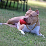 Coffee Cup Durable Rubber Chew Toy and Treat Dispenser From SodaPup