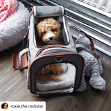 Mr. Peanut's Gold Series Standard Size Airline Compliant Expandable Pet Carrier from Mr. Peanut's Pet Carriers