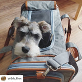 Mr. Peanut's Gold Series Standard Size Airline Compliant Expandable Pet Carrier from Mr. Peanut's Pet Carriers