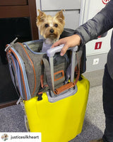 Mr. Peanut's Gold Series Standard Size Airline Compliant Expandable Pet Carrier from Mr. Peanut's Pet Carriers