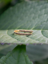 Serpentine Wrap Ring - Gold from Ash & Rose