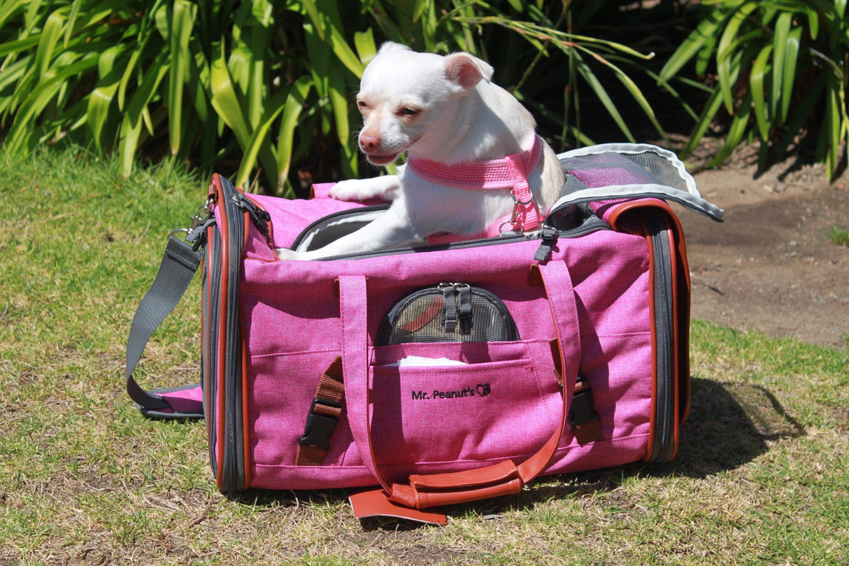 Mr. Peanut's Gold Series Standard Size Airline Compliant Pet Carrier from Mr. Peanut's Pet Carriers