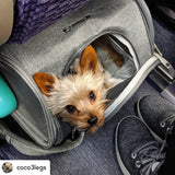 Mr. Peanut's Gold Series Standard Size Airline Compliant Expandable Pet Carrier from Mr. Peanut's Pet Carriers