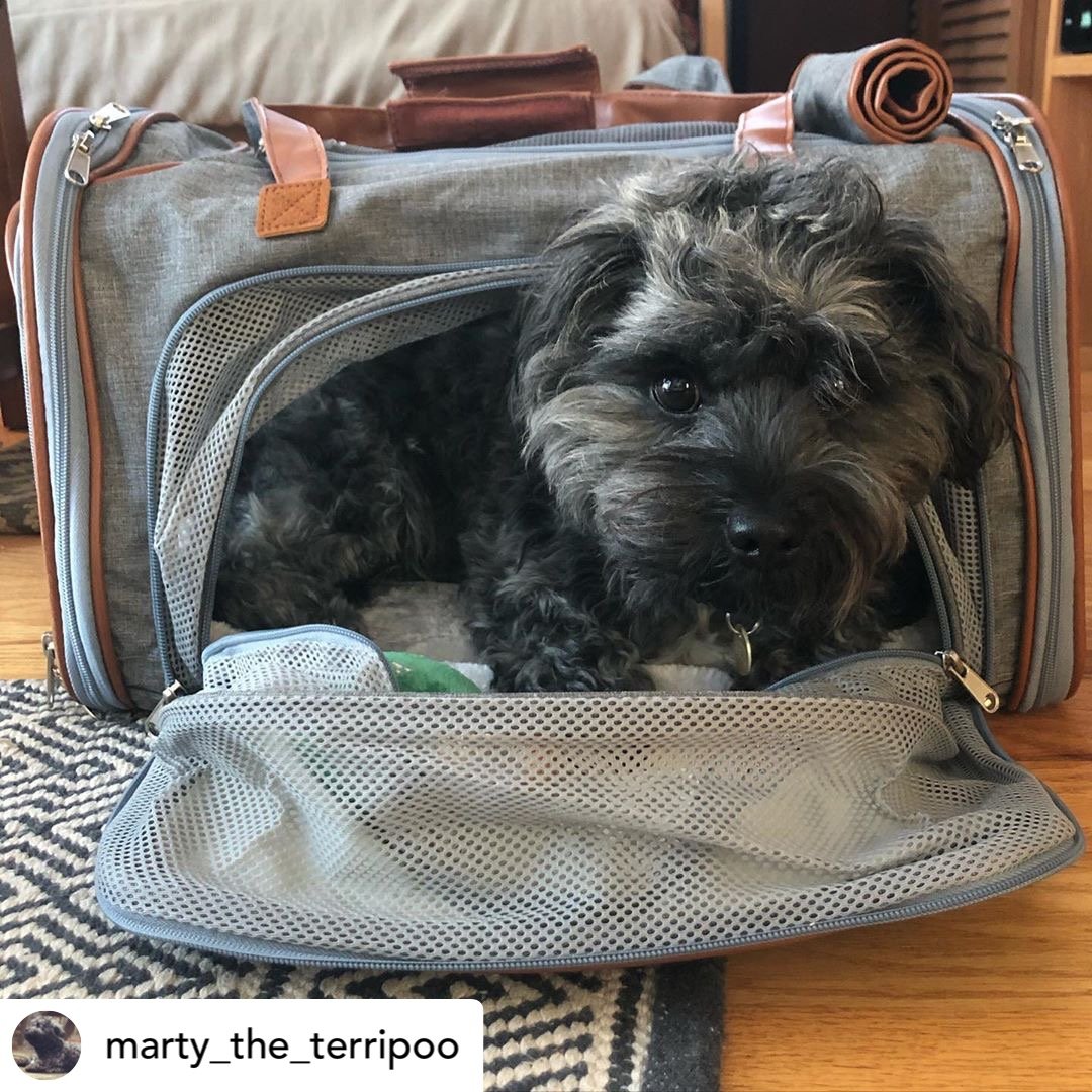 Mr. Peanut's Gold Series Standard Size Airline Compliant Expandable Pet Carrier from Mr. Peanut's Pet Carriers