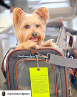 Mr. Peanut's Gold Series Standard Size Airline Compliant Expandable Pet Carrier from Mr. Peanut's Pet Carriers
