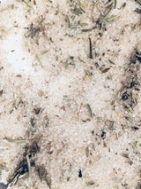 Rosemary Sage infused artisan culinary sugar from Beach House Teas