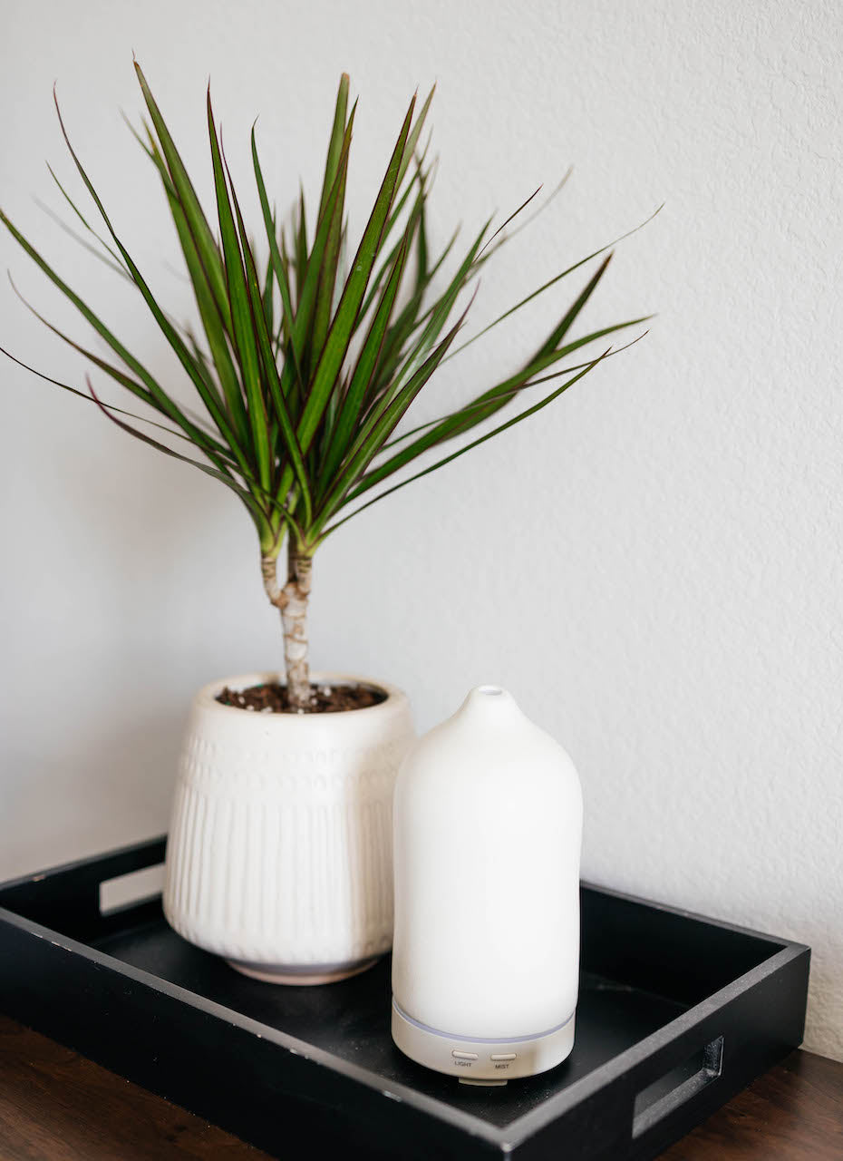Ceramic Diffuser from Timeless Organics Skin Care