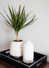 Ceramic Diffuser from Timeless Organics Skin Care
