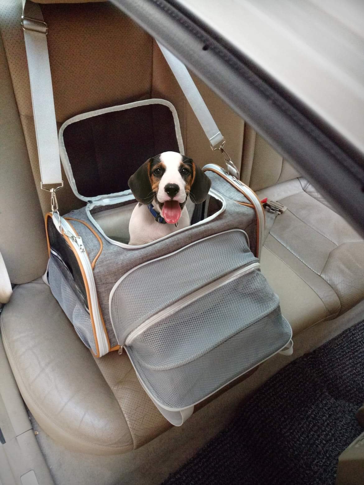 Mr. Peanut's Platinum Series Double Expandable Pet Carrier from Mr. Peanut's Pet Carriers