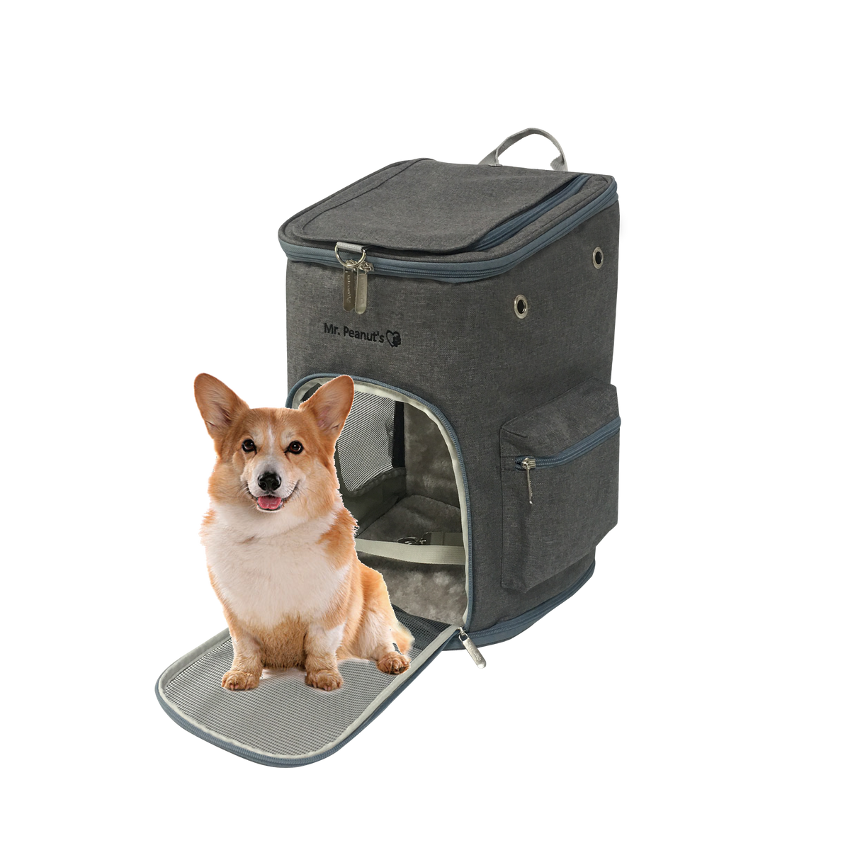 Mr. Peanut's Vancouver Series Backpack Pet Carrier for Smaller Cats and Dogs from Mr. Peanut's Pet Carriers