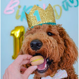 Happy Birthday Dog Treats Gift Box from Bonne et Filou
