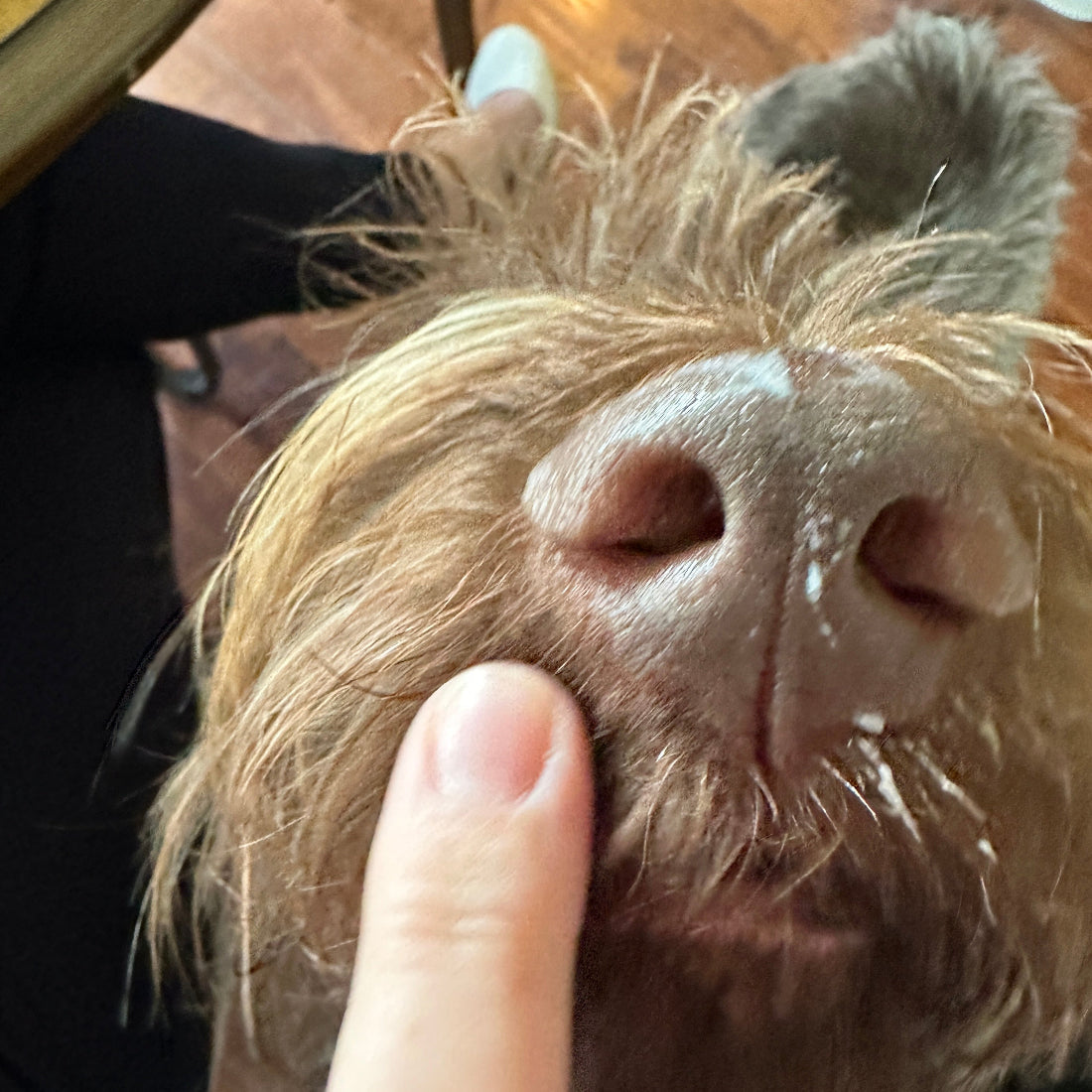 Soothe All Natural Boop Balm From buddyrest.com
