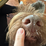 Soothe All Natural Boop Balm From buddyrest.com