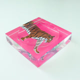 Catchall Tray - Tiger  from CB Studio