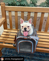 Mr. Peanut's Gold Series Big Apple XL Size Airline Compliant Double Expandable Pet Carrier from Mr. Peanut's Pet Carriers