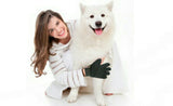 Mr. Peanut's 2 Pak HanD 259 Silicone Pins Pet Grooming Gloves from Mr. Peanut's Pet Carriers