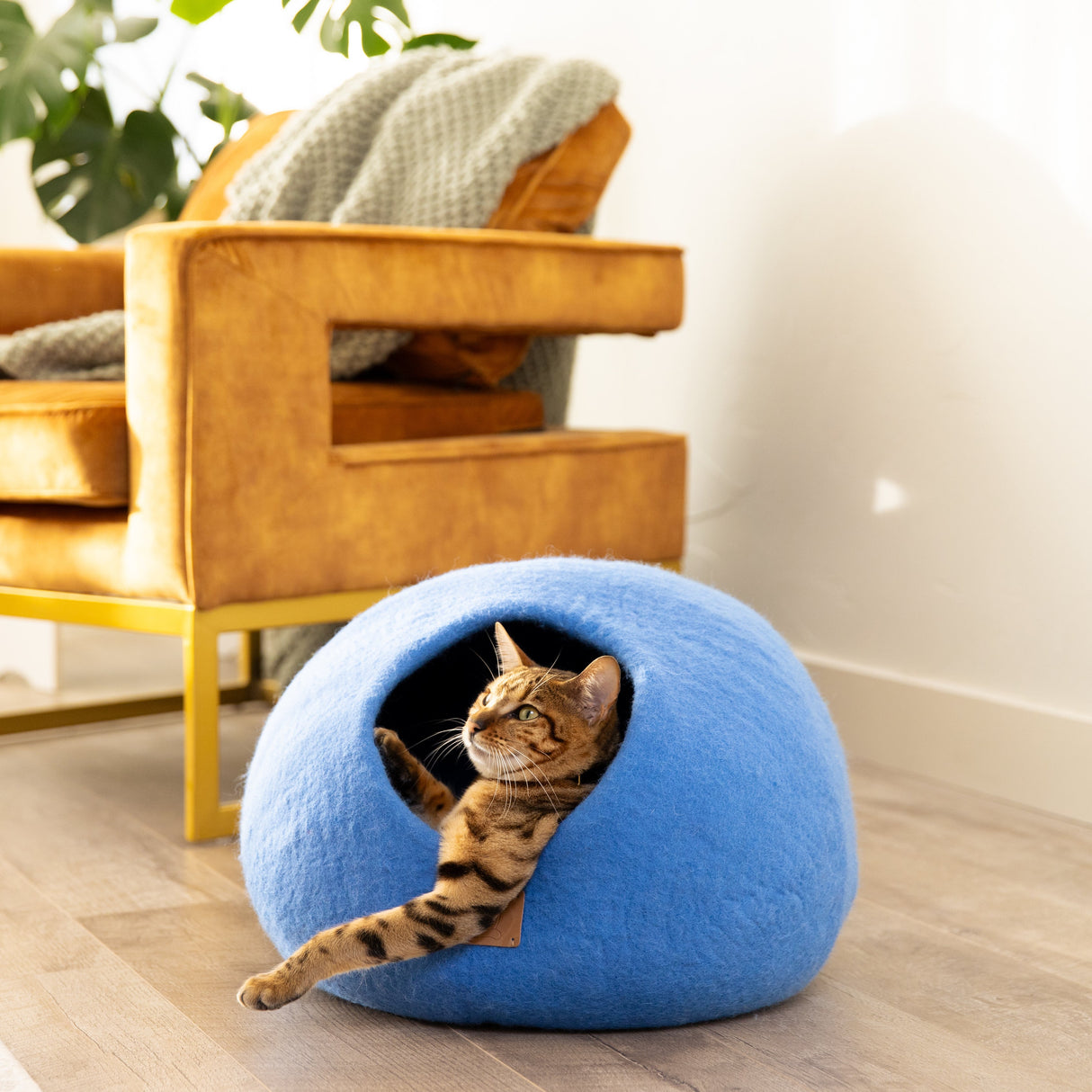 Sky Blue | Round Style Cave from Fuzzy Cove