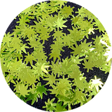 Glitter Flakes 420 From Glitter Heart Co.