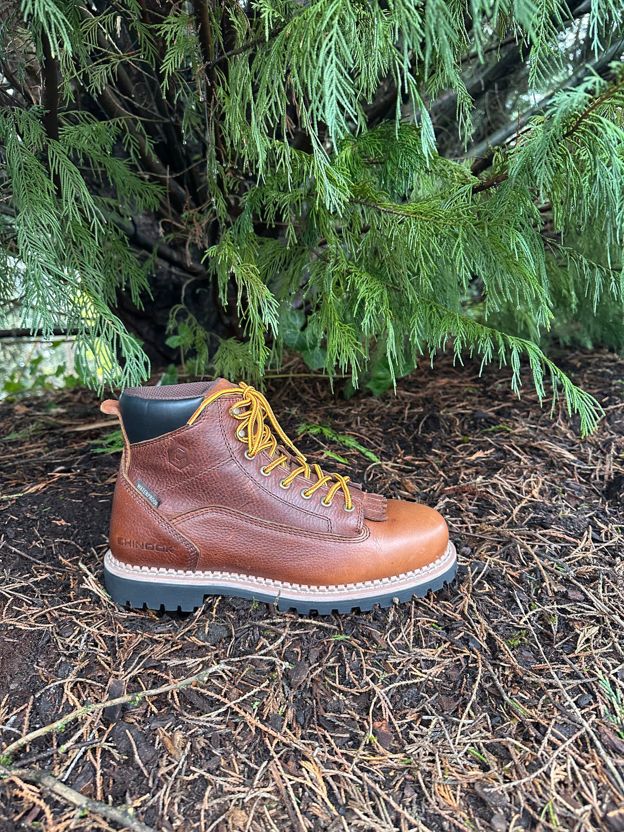 Logger 6” Men’s Waterproof Work Boot - Brown from Chinook® Footwear