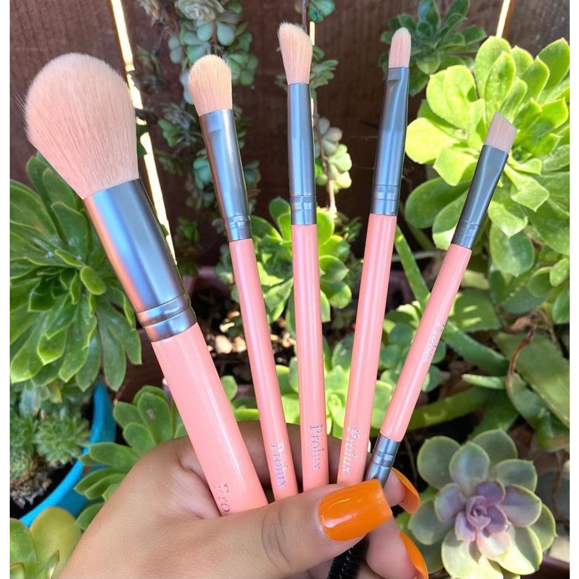 Ultra Pastel Brush Set From Prolux Cosmetics