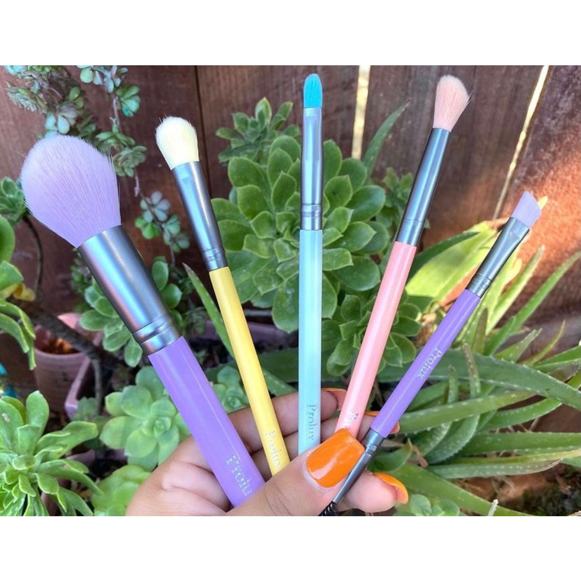 Ultra Pastel Brush Set From Prolux Cosmetics