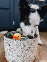 Terrazzo Modern Elevated Dog Bowl from Pet Junkie