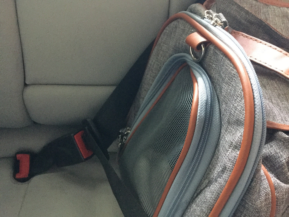 Mr. Peanut's Gold Series Standard Size Airline Compliant Expandable Pet Carrier from Mr. Peanut's Pet Carriers
