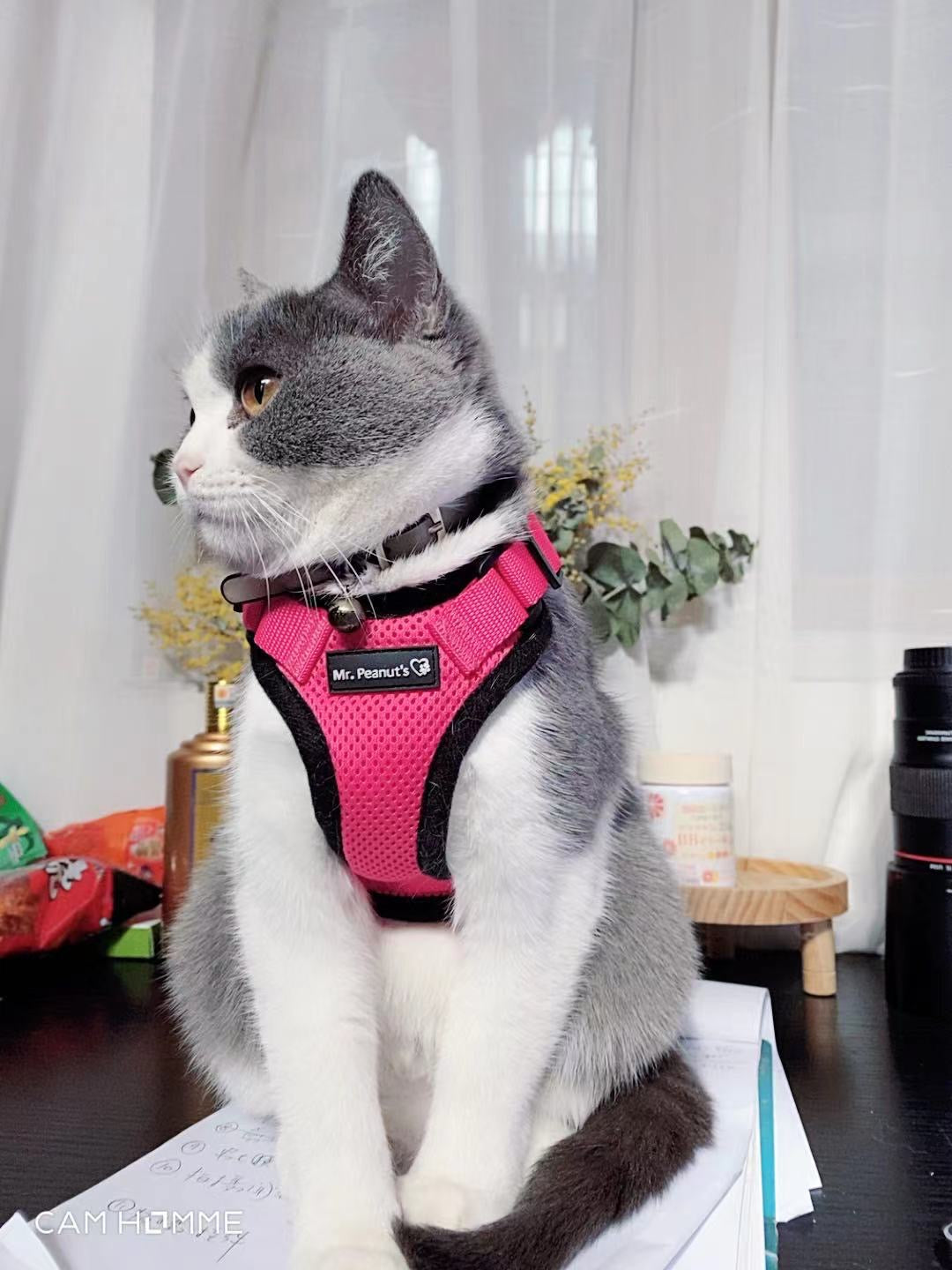 Mr. Peanut's PurrTrek Reflective Cat Harness with Matching Leash from Mr. Peanut's Pet Carriers