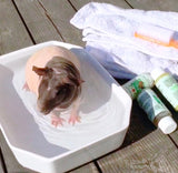 4-HAIRLESS PETS *SKINNYPIG SENSITIVE KIT from ReNewedPet