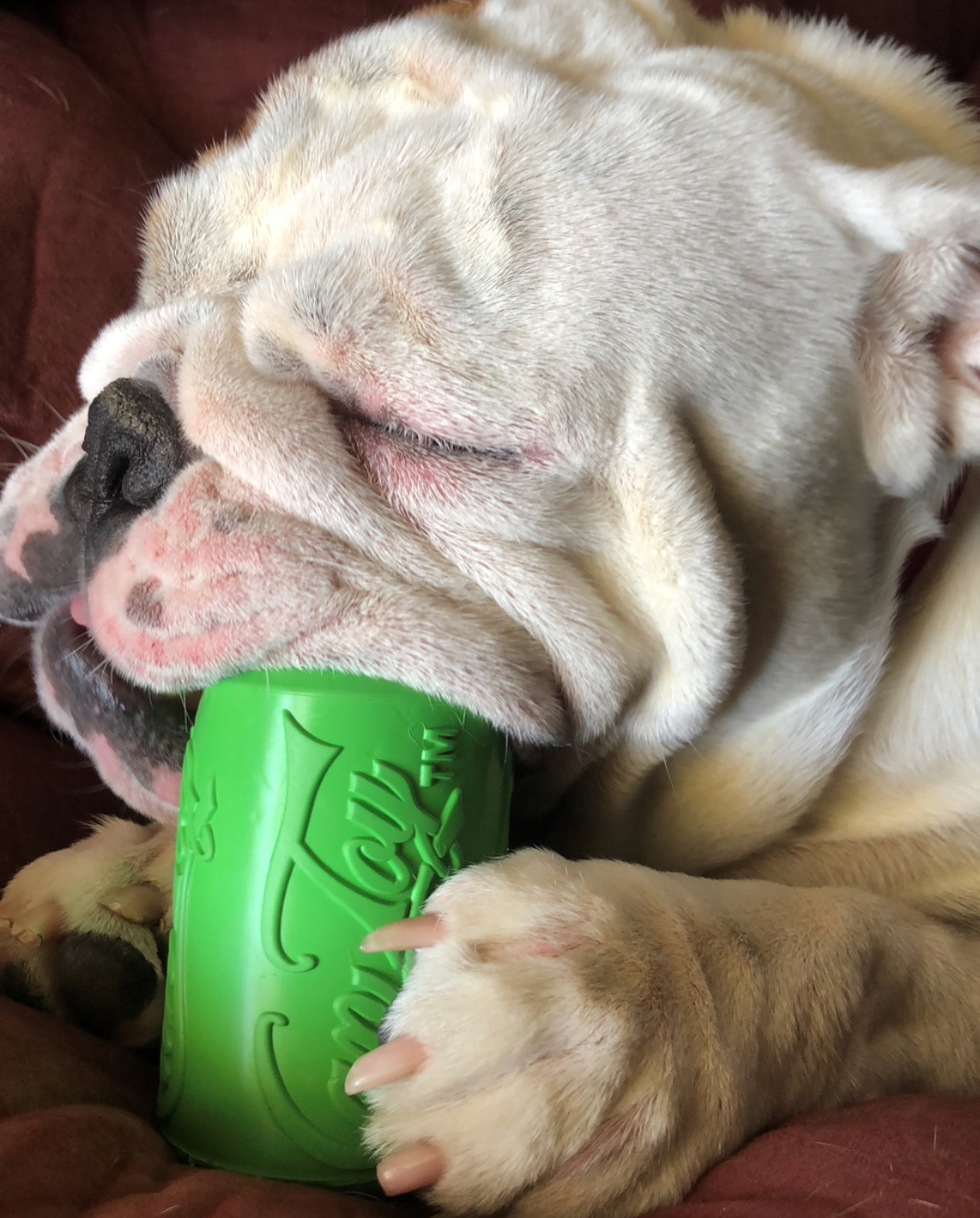 Can Toy Durable Rubber Chew Toy & Treat Dispenser - Average Chewer From SodaPup