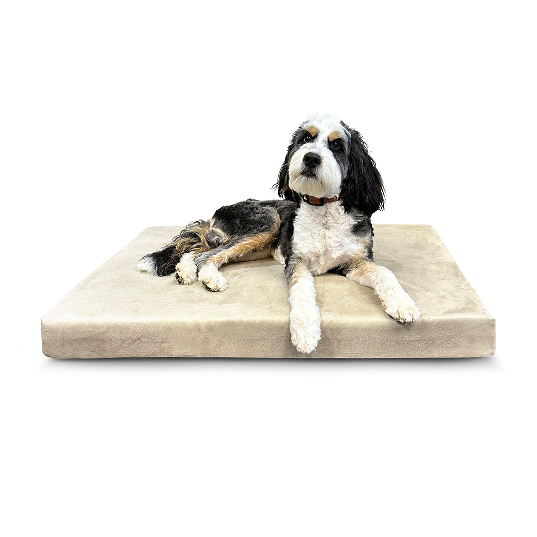 Deluxe Memory Foam Dog Bed From buddyrest.com