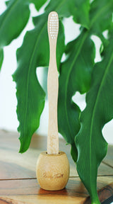 Bamboo Toothbrush Holder / Stand from Lucky Teeth