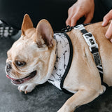 Frenchie Duo Reversible Harness - Black Marble from Frenchie Bulldog