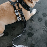 Frenchie Comfort Leash - Black Marble from Frenchie Bulldog