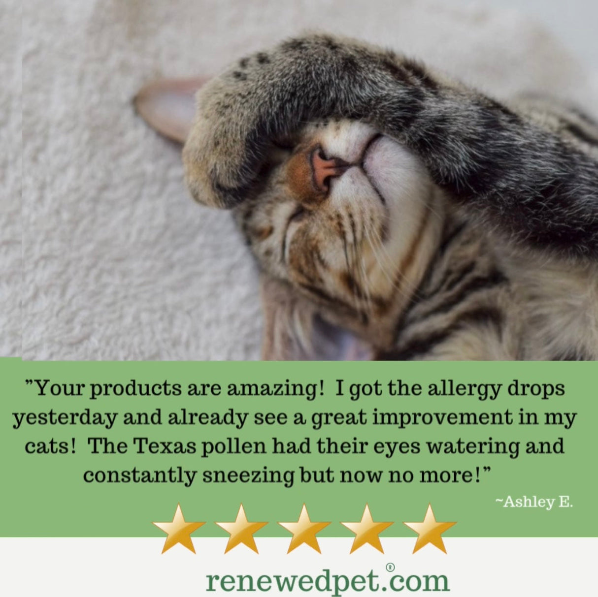 ALLERGY HEALTH/ Allergy-Free Remedy  from ReNewedPet