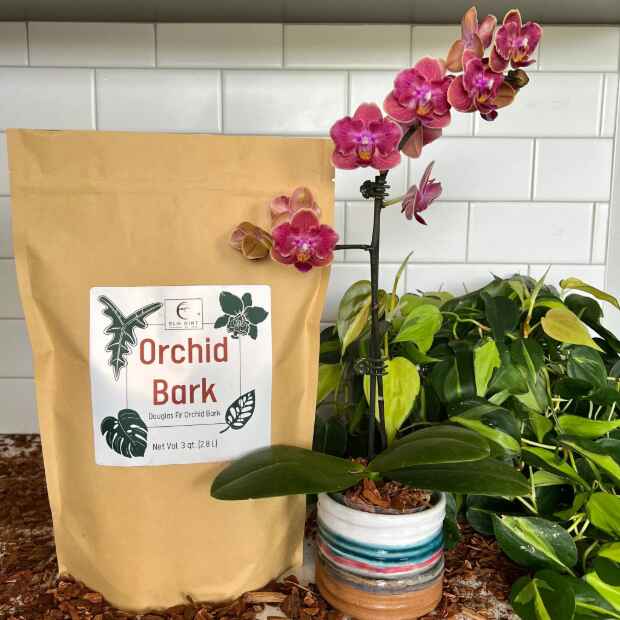 Orchid Bark from Elm Dirt