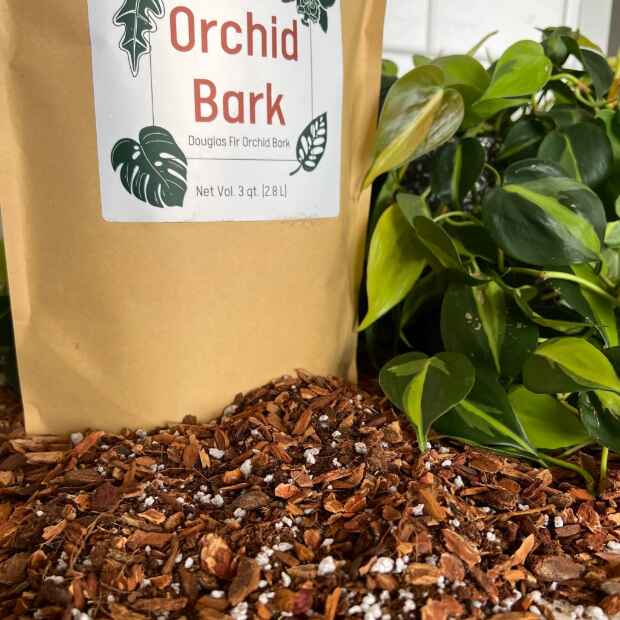 Orchid Bark from Elm Dirt