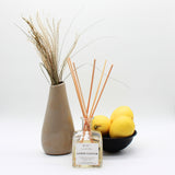 Reed Diffuser from Peripeti Home