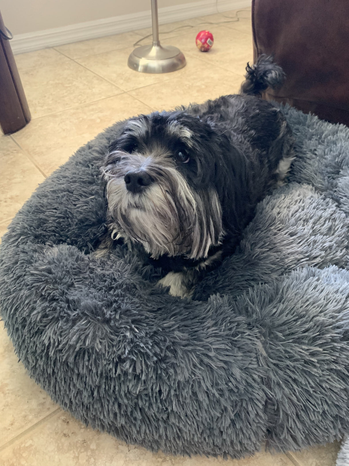 Mr. Peanut's 28" OrthoPlush® Pet Bed - Snowflake White Two Tone from Mr. Peanut's Pet Carriers